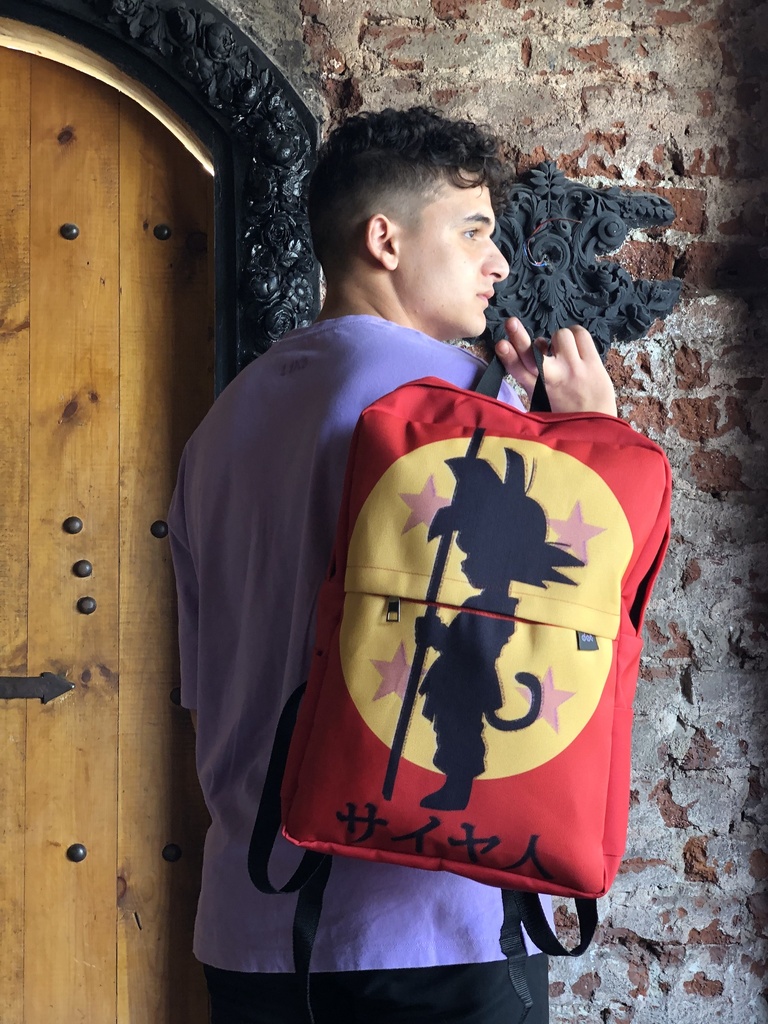 bag dragon ball  printed