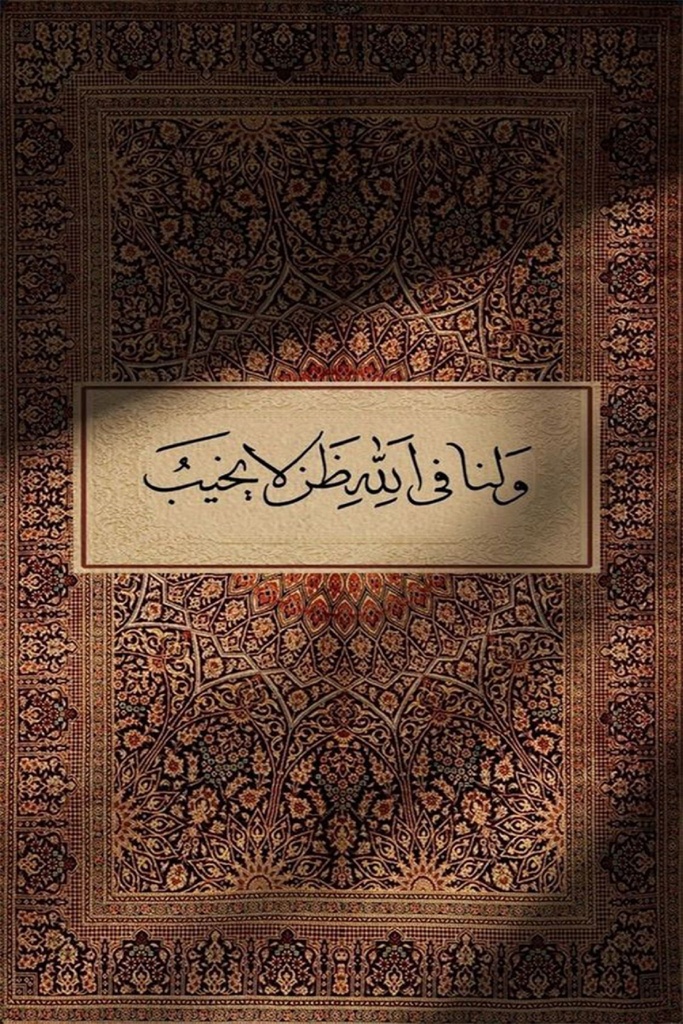 20*30 4229