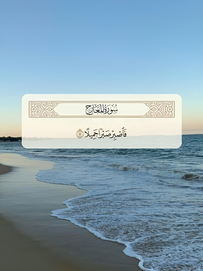 20*30 4358